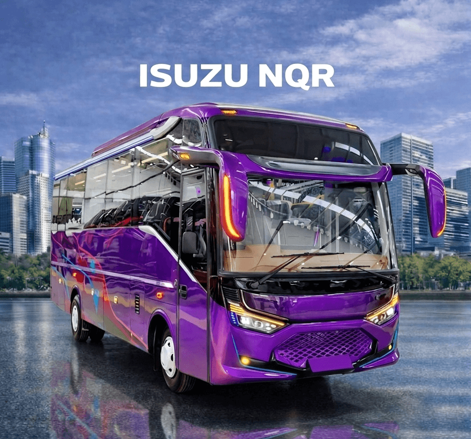 Isuzu Nqr Jetbus Medium